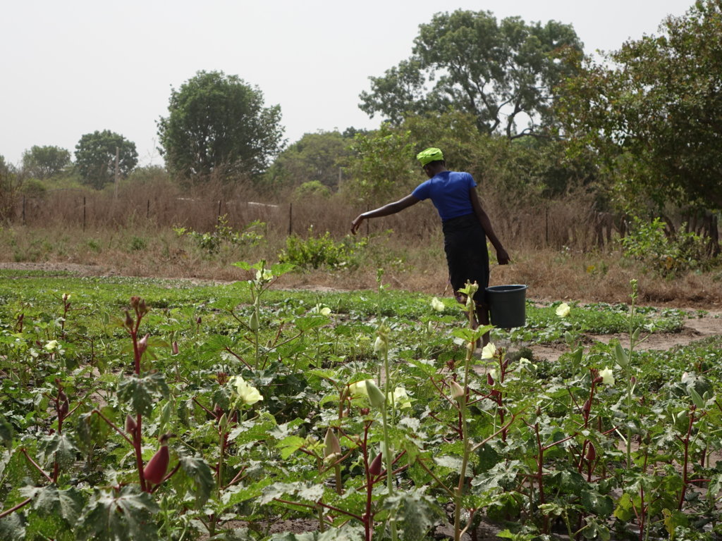 Pozzo profondo di Kenwal in Senegal by Balouo Salo - Raoul Vecchio